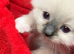 Cuddly and sweet little boy