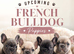 French Bulldog Puppies – Upcoming Litter