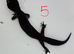 2025 balck night female leopard gecko