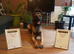 Elite female Belgian Malinios - Fully Vaccinated