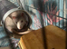 3male rats + cage + accessories