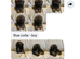 Shihtzu pups for sale