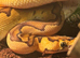 Enchi Clown Male