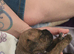 Puppies for sale
