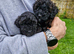 Toy Poodle Puppies