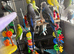 Lots of different coloured budgies for sale