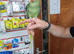 Alexandrine Parrot
