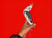 Super silly hand tamed baby cockatiels
