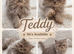 Reduced, lilac male and female blue Persian kittens