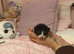 5 kittens looking to secure their forever homes