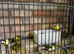 13 mixed canneries
