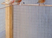 Canarys for sale different colors 6 cock birds