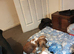 Old English bulldog for sale