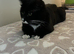 black white one year old boy regi