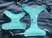 Blue Dog Harness