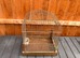 Over 60 years vantage cage