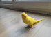 Yellow fully tame talking parrots