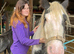 Gypsy cob west wales