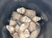 Ferrets