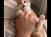 Cute little kitten for sale