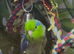2 bonded parrolets
