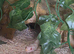 Juvenile snow corn snake and 4ft vivarium