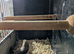 Silverbill
