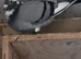 Racing pigeons