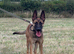 Mali/Dutch Female 7 Months Old BRN 56036