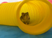 Hamster for sale with full set up