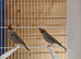 Red heads 2 male