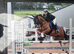 14.2 Welsh section D