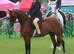 13.2 British riding pony mare