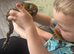 Young bull python