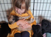 Shepadore puppies German Shepherd × Labradore pups