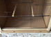 Wood single bird breeding cages