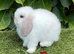 Pure bred mini lops .3 females available.