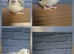 Light sussex x chicks