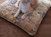 Savannah boy for sale