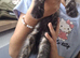 1 BEAUTIFUL FEMALE KITTEN.