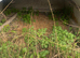 pig shelters/Animal