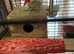 Kakariki babies ready for new homes Now
