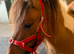 Super cute dun and white registered Shetland