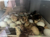 Pure Breeds Large Fowl Unsexed chicks