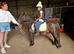 Stunning standard gelding