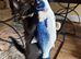 ADORABLE RAGDOLL X MALE READY NOW