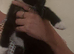 little black kitten