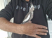 Super hand tamed baby cockatiel