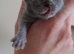 Last girl available! Registered