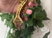 Various baby and adult crested geckos
